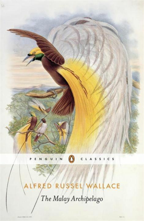 Immagine prodotto The Malay Archipelago (Inglese, Andrew Berry, Alfred Russel Wallace, 2014)