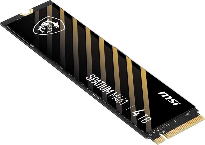 Actual product image MSI Spatium M461 (4000 GB, M.2 2280)