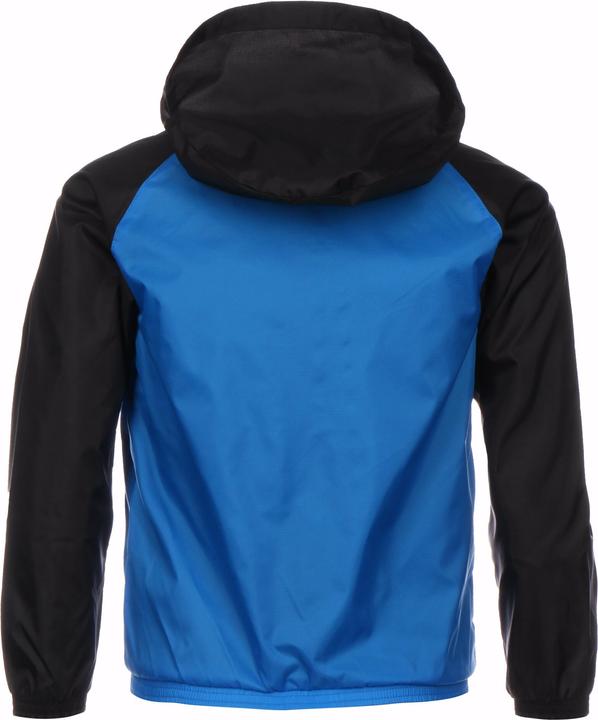 Actual product image Puma TeamLIGA All Weather Rain Jacket Kids (152)