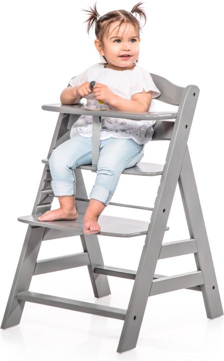 Actual product image Hauck alpha+ (Highchair)