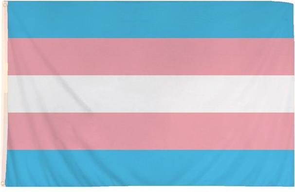 Image du produit Henbrandt CSD Fahne Transgender Pride 1,52m
