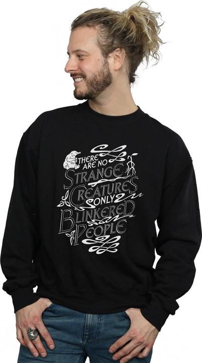 Actual product image Fantastic Beasts Mens Strange Creatures Sweatshirt (M)