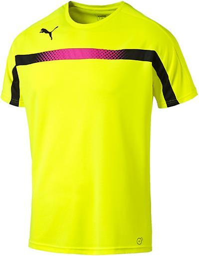Actual product image Puma evoTRG Training Tee (S)