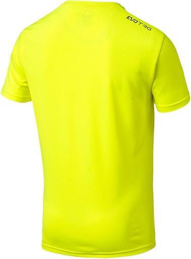 Actual product image Puma evoTRG Training Tee (S)