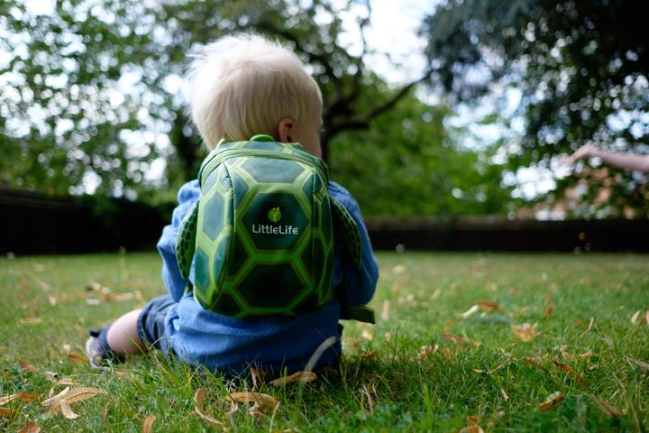 Immagine prodotto Littlelife Tartaruga