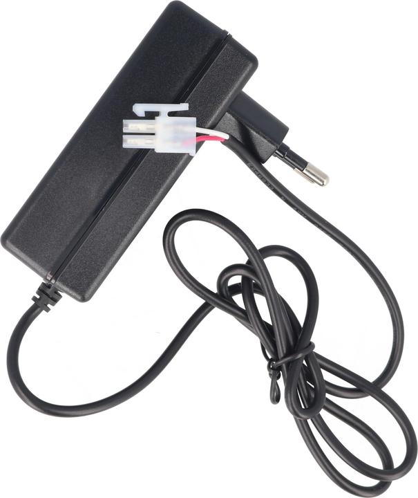 Actual product image AccuCell Quick charger exactly suitable for roma roller shutter 4511670 Battery 12V 800mAh (1 pcs., 800 mAh, Rechargeable battery)