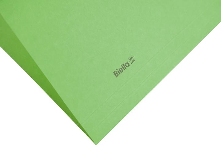 Image du produit Biella Dossiers suspendus Original (A4, 25 x)