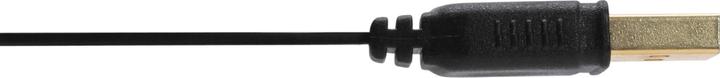 Actual product image InLine USB A — Mini B (2 m, USB 2.0)