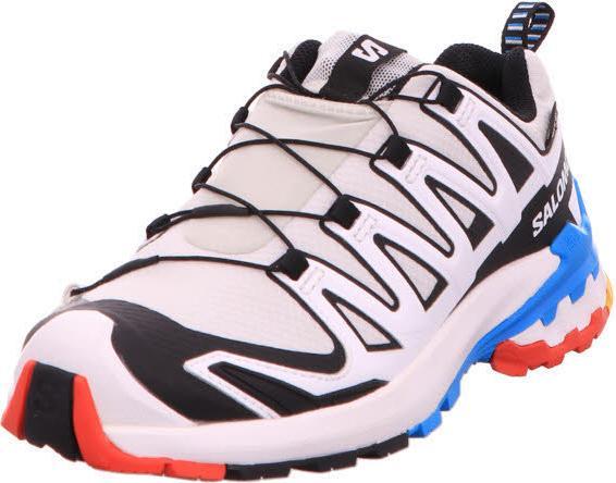 Image du produit Salomon XA Pro 3D V9 GTX (40)