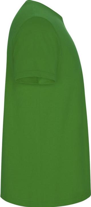 Image du produit Alpinia - T-shirt STAFFORD - Homme (3XL)