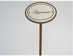 Fiche d'épices Thym (25 cm)