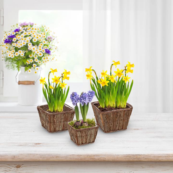 Produktbild Relaxdays 3-tlg. Blumentopf-Set (27 cm)