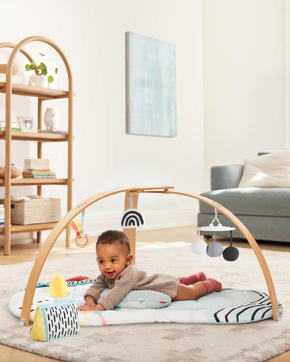 Actual product image Skiphop DISCOVEROSITY Play Gym