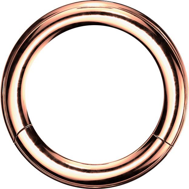 Star Piercing Segmentring klappbar rosegold (Chirurgenstahl 316L, ohne Messing)