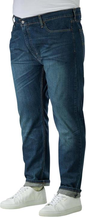Image du produit Levis 10012861 (W46/L34)
