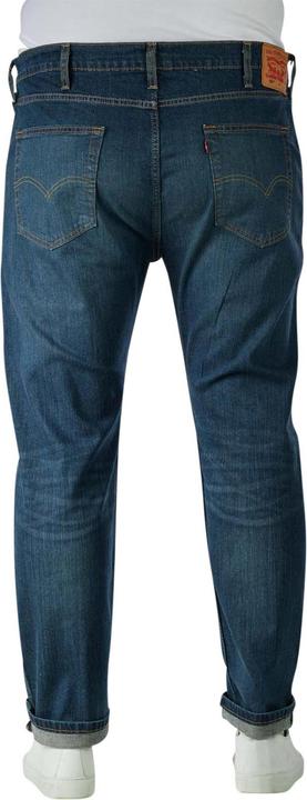 Image du produit Levis 10012861 (W46/L34)