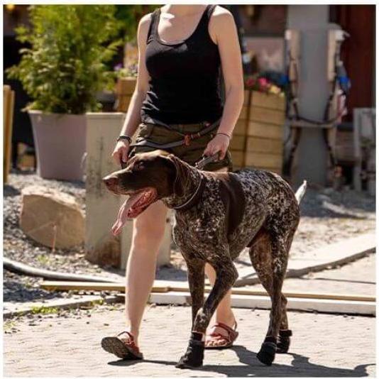 Produktbild Non-Stop Dogwear Pector Booties 4 Stk (L, Hundeschuhe)