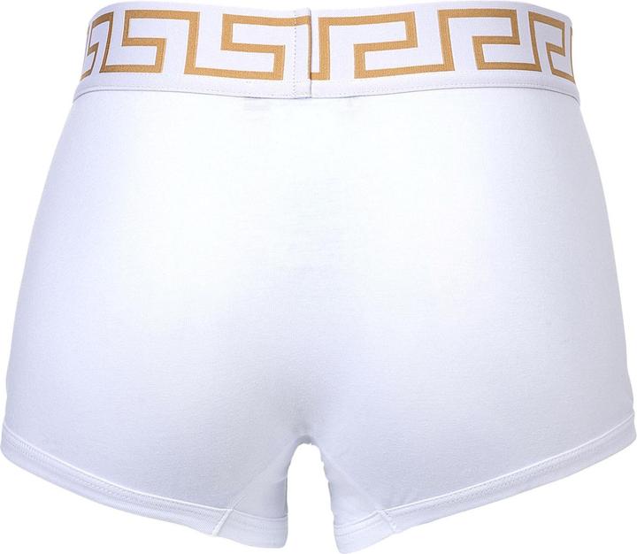 Actual product image Versace Underpants Tri-Pack Trunk Jersey Topeka Bi-Stretch Cotton Organic New Logo (XXL, pack of 3)