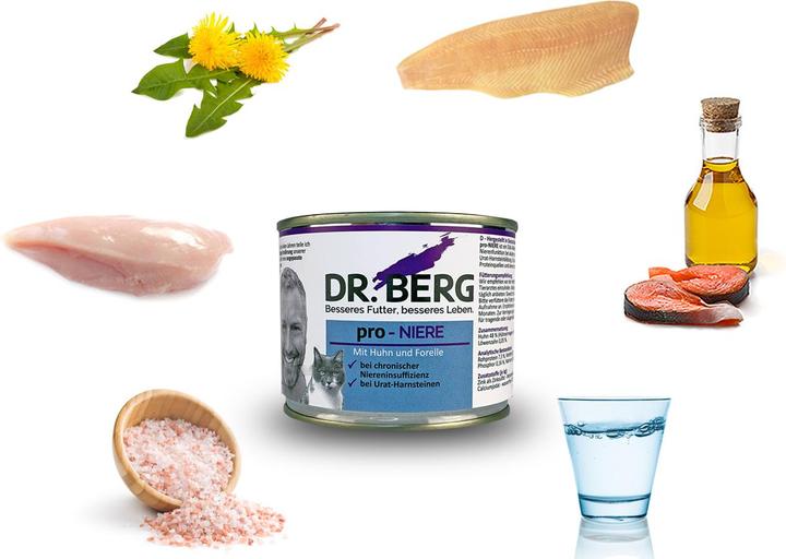 Image du produit Dr. Berg pro-reins (Adulte, 1 pcs, 200 g)