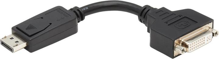 Immagine prodotto Eaton Cavo adattatore da DisplayPort a DVI-I M/F da 6 pollici 15,2 cm (0.15 m, DisplayPort)