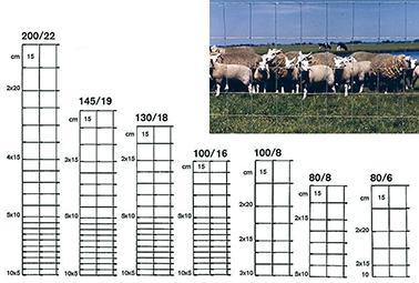 Actual product image Betafence Ursus Light ZAL 145/19/15 50m