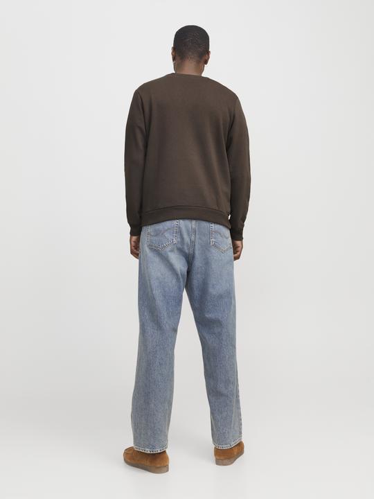 Actual product image Jack & Jones Jorbouquet Emb Sweat C.N Ft Styd Aw24 (M)
