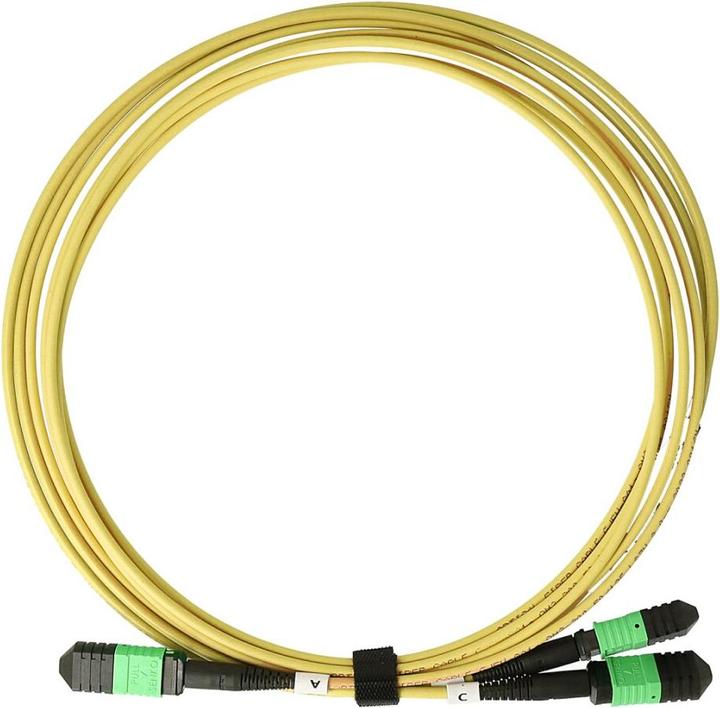 BlueOptics LWL MPO-16/APC-2xMPO-12/UPC Breakout Kabel G.657.A1 Singlemode 2 Meter (S/UTP, CAT6, 2 m)