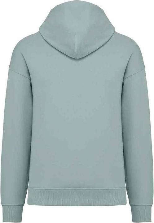 Image du produit Native Spirit - Sweat à capuche - Adulte (S)