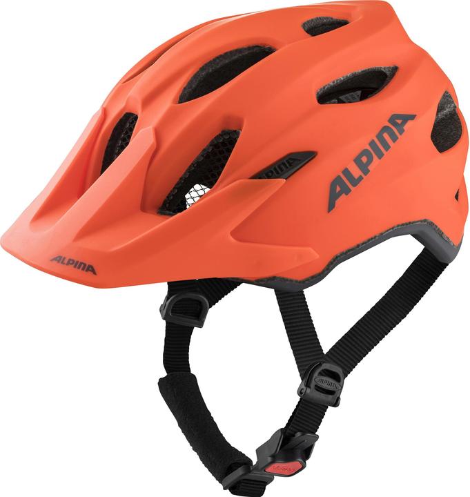 ALPINA SPORTS Carapax JR (51 - 56 cm)
