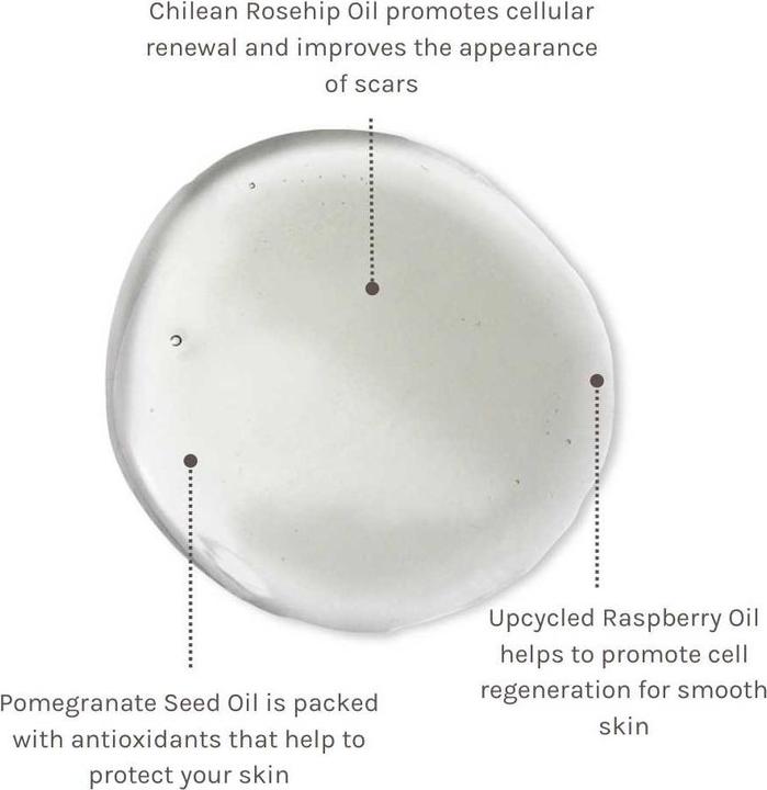 Immagine prodotto Evolve Bellezza Super Berry Olio naturale per il corpo per cicatrici e smagliature 100ml (Olio corpo, 100 ml)
