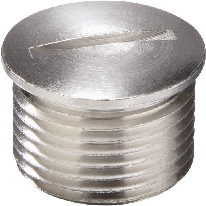 Actual product image Wiska EMVS-L 25 screw plug M25 brass brass 100 pcs.