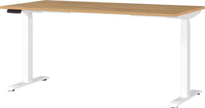 Productafbeelding Germania JET in hoogte verstelbaar bureau kleinzoon eiken rechthoekig, T-poot frame wit 160,0 x 8 (160 x 72 cm)