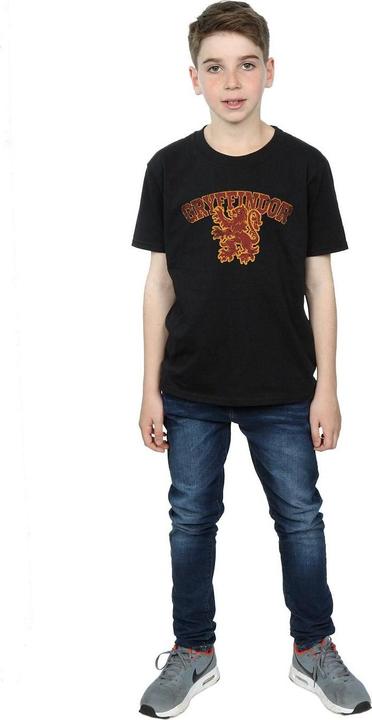 Actual product image Boys Gryffindor Sport Emblem T-Shirt (116)