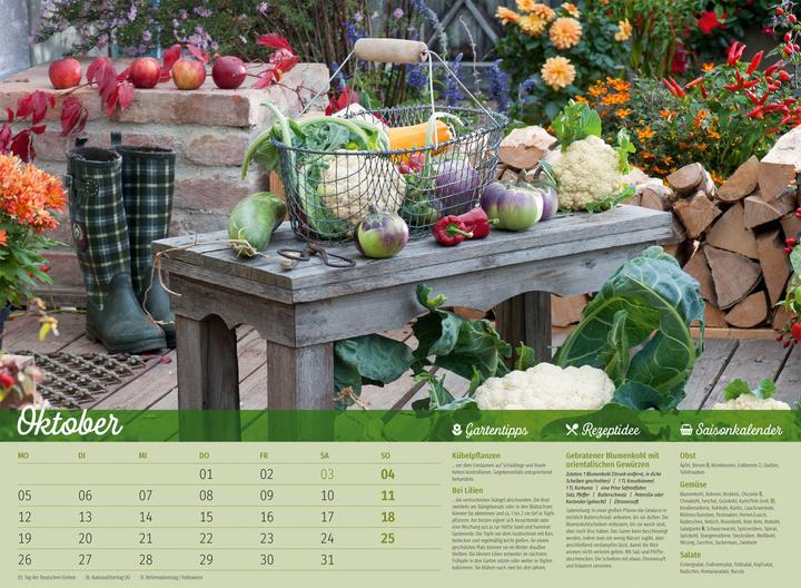 Image du produit Landliebe Kalender 2026 (45 x 33 cm, Couverture rigide, Allemand)