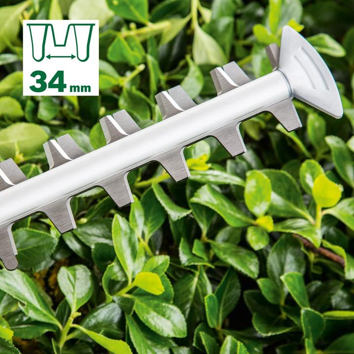 Actual product image Bosch Home & Garden AdvancedHedgeCut 65 (Electric hedge trimmer)