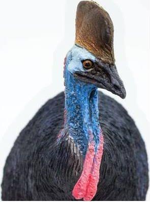 Actual product image Safari Cassowary