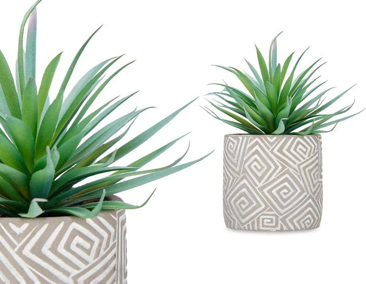 Actual product image Ibergarden Houseplant with grey pot (21 cm)