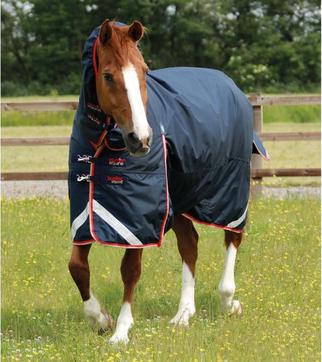 Immagine prodotto Premier Equine Buster Storm 200 g (160 cm)