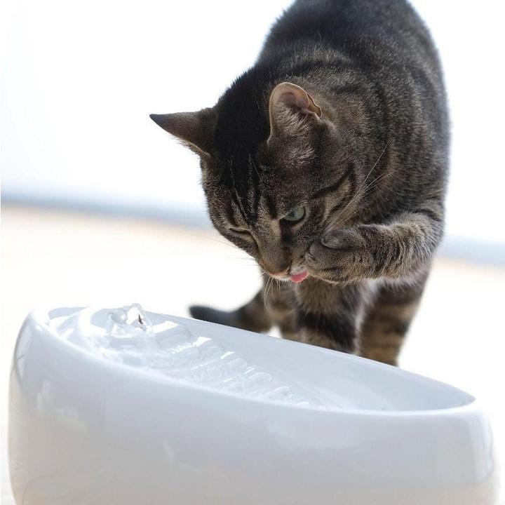 Produktbild Lucky Kitty Keramik Trinkbrunnen (1.50 l)