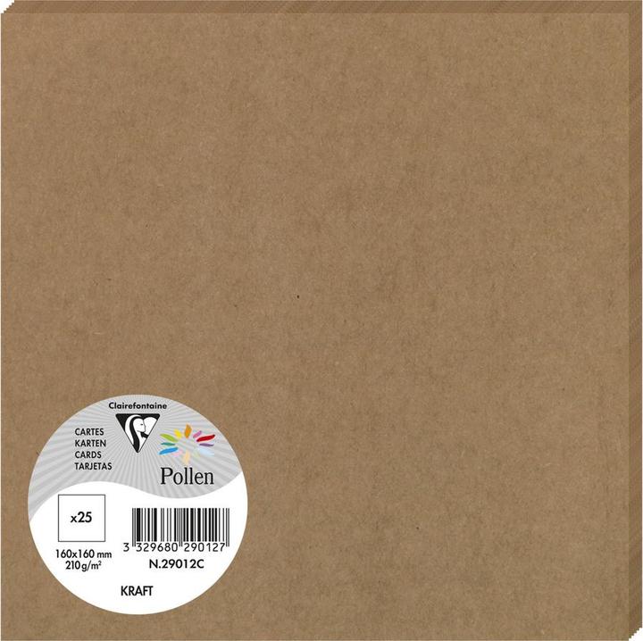 Image du produit Pollen Cartes simple (200 g/m², 7000 x, 160 x 160 mm)
