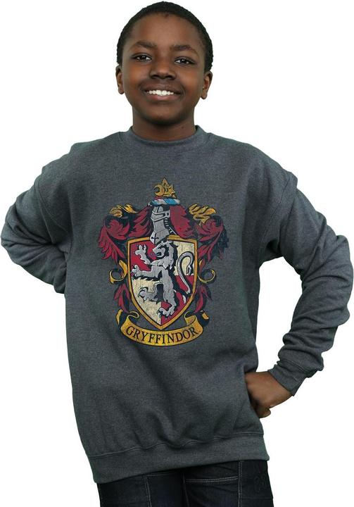 Produktbild Sweatshirt Jungen (128)