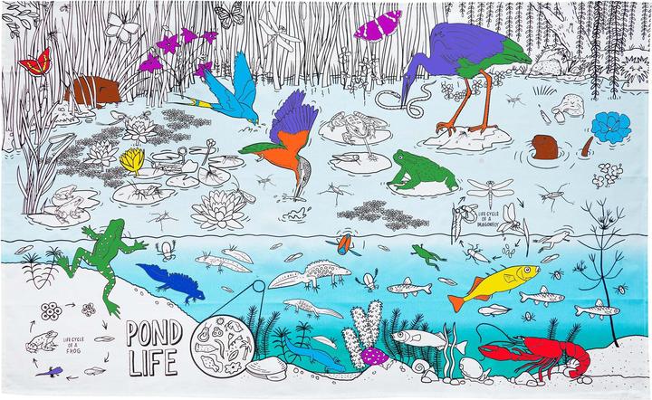 Actual product image Eat Sleep Doodle Children's tablecloth - la vie de l'étang (130 x 85 cm)