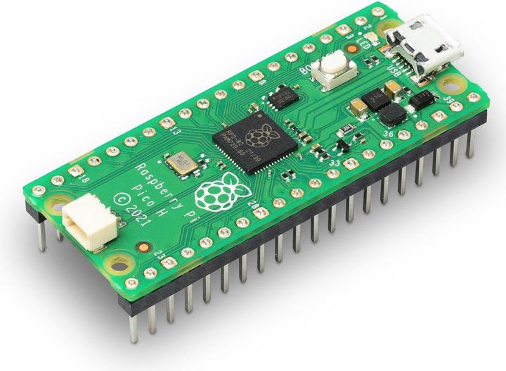 Raspberry Pi Microcontrollore RP-PICO-H