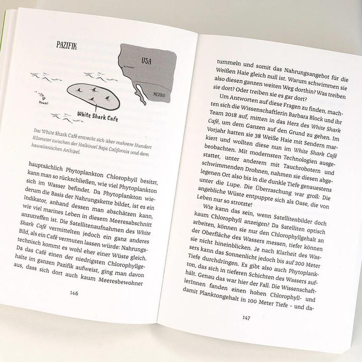 Produktbild Hanserblau Wenn Haie leuchten (Deutsch, Julia Schnetzer, 2022)