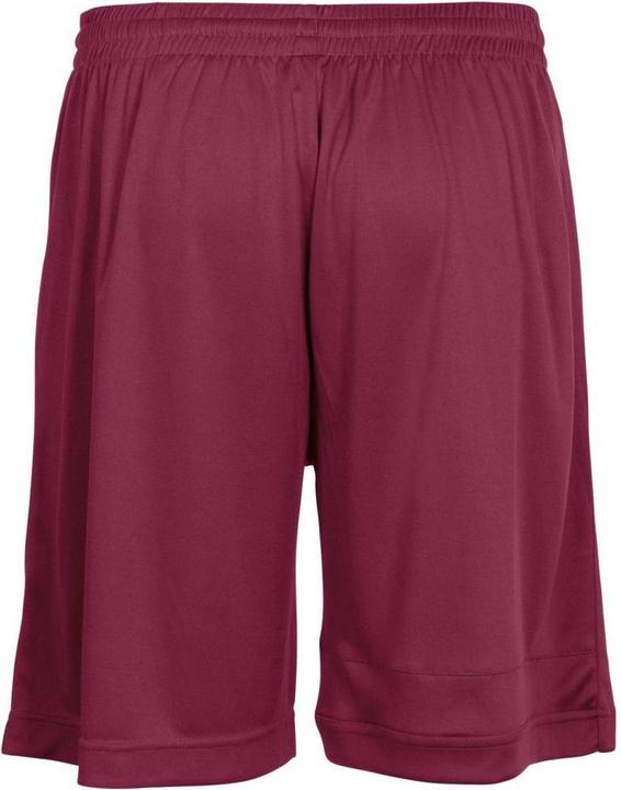 Actual product image Stanno Field Shorts (116)
