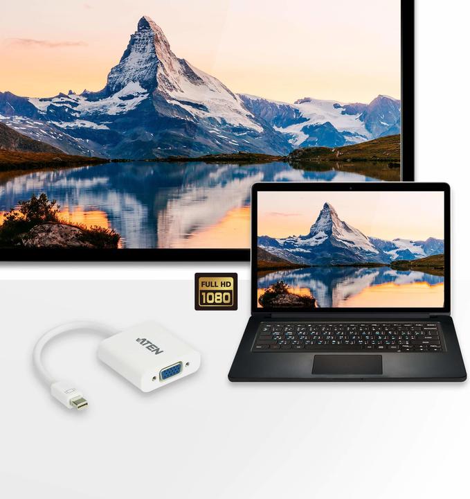 Actual product image Aten VC920 DisplayPort adapter (Sub-D 15, 20 cm)