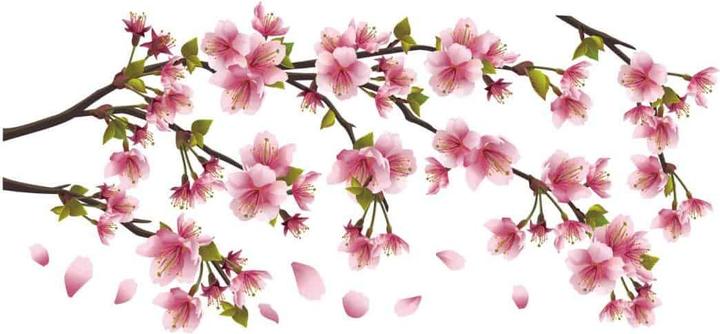 Produktbild Trenddeko Kirschblütenzweig (180 x 83 cm)