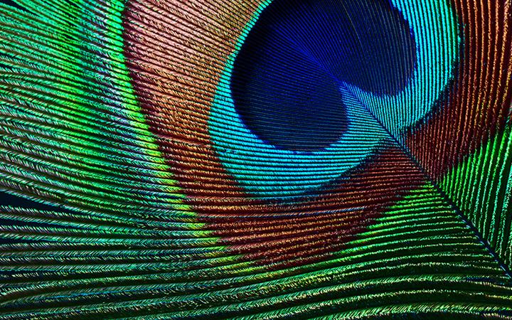 Produktbild Epson EH-TW7000 (4K, 3000 lm, 1.32 - 2.15:1)