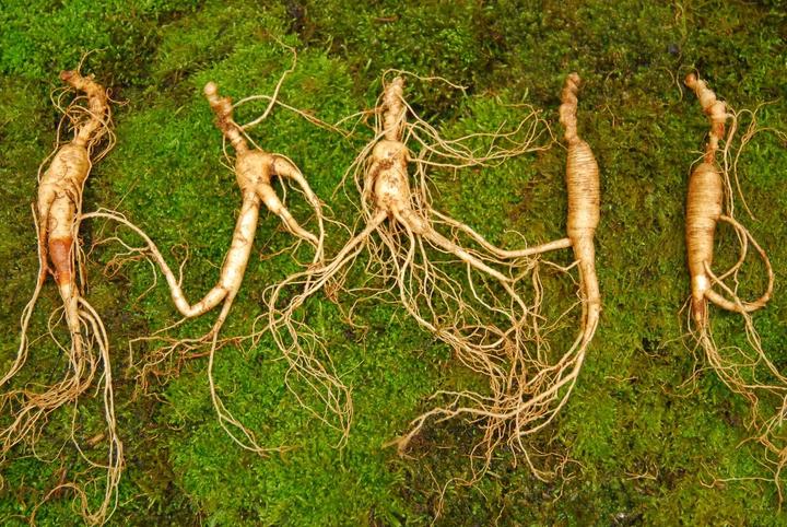 Image du produit Arkopharma Arkocaps Ginseng Kapseln (45 pièce(s), Capsules, 45 g)