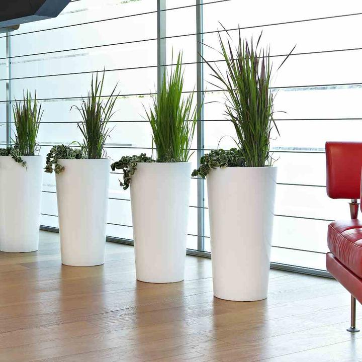 Immagine prodotto Euro3plast Tuit (33 cm)